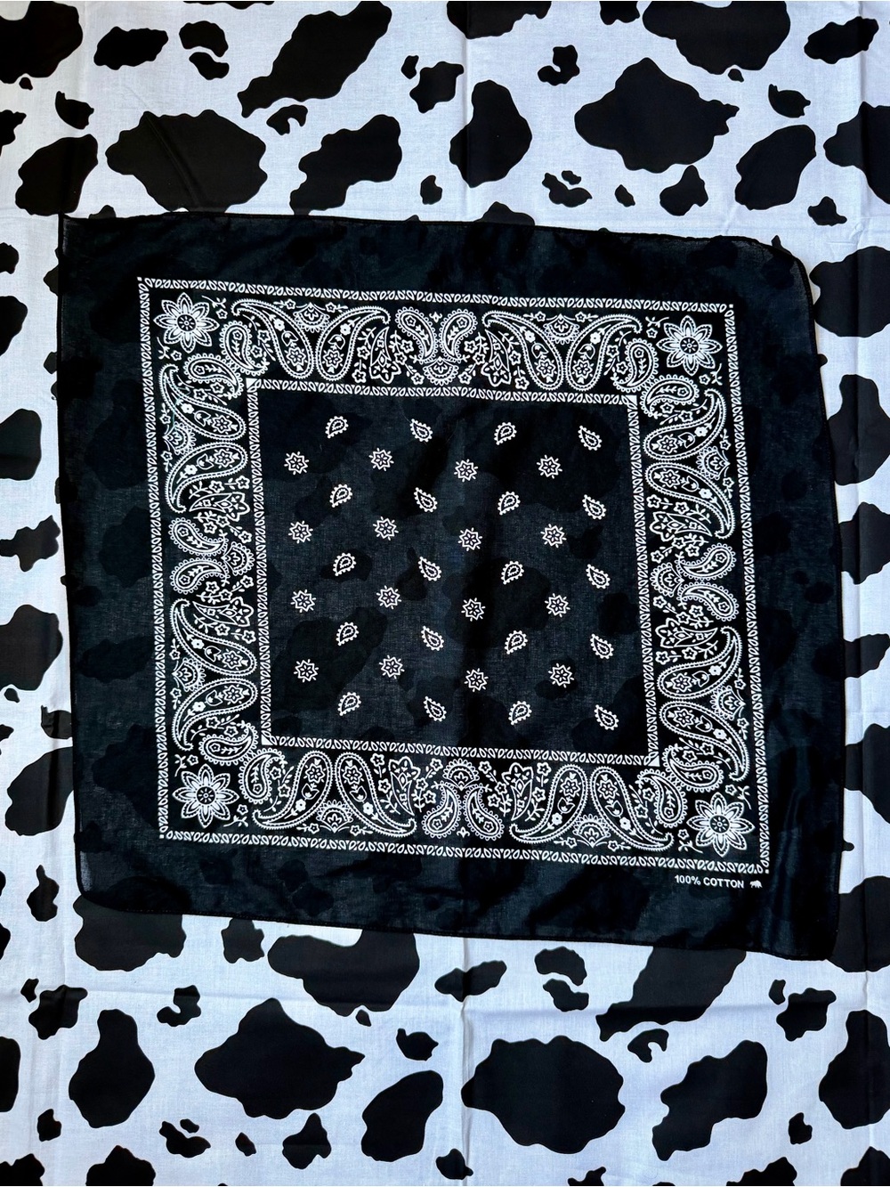 Black Paisley Bandana | 100%
Cotton 🖤